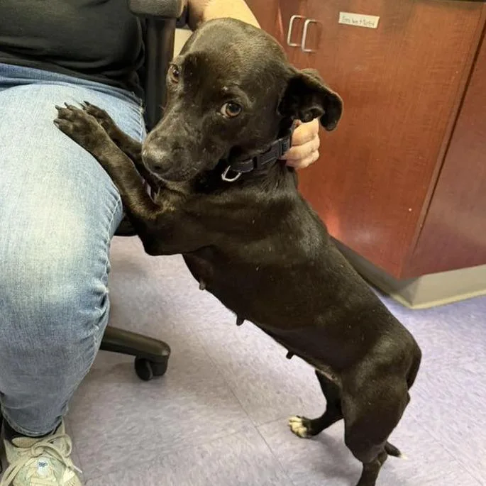 Big Mama thumbnail 3