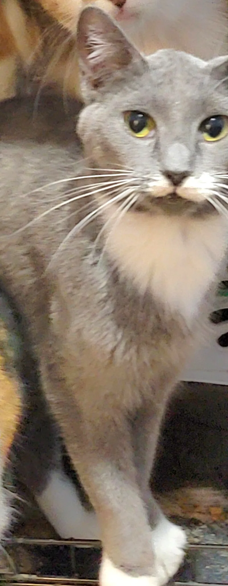 Andy thumbnail 3