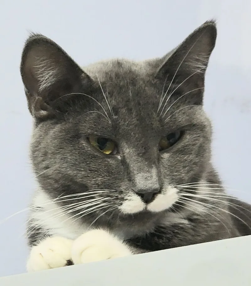 Andy thumbnail 4
