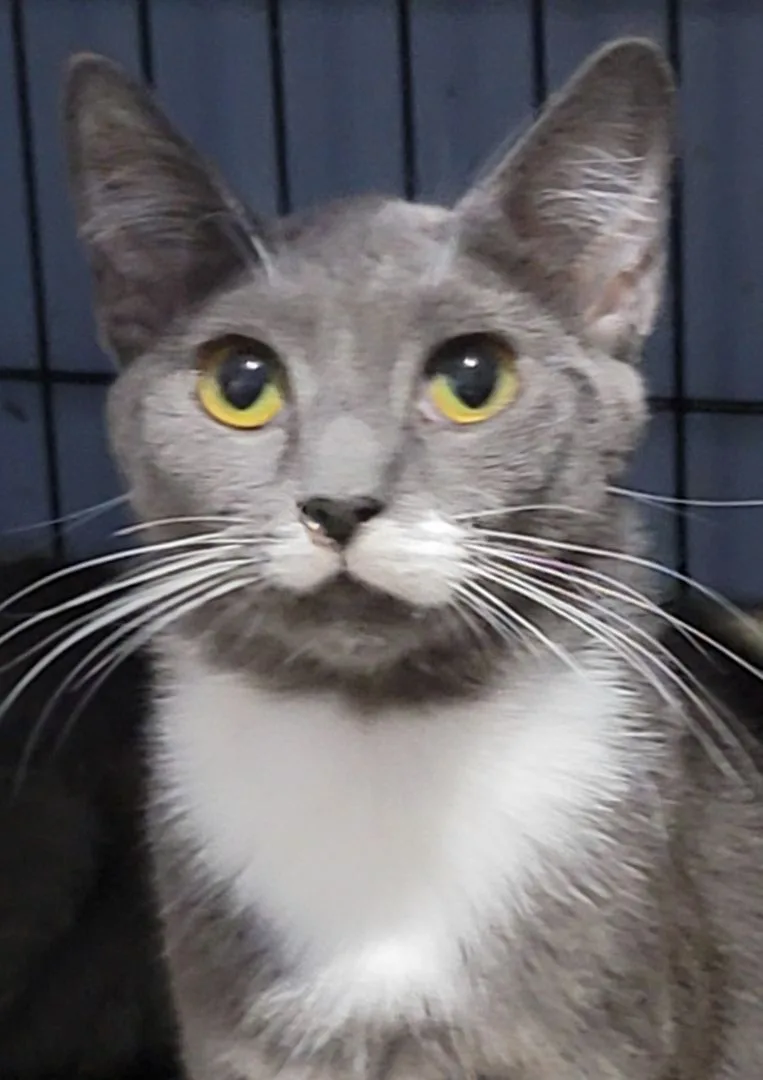 Andy thumbnail 6