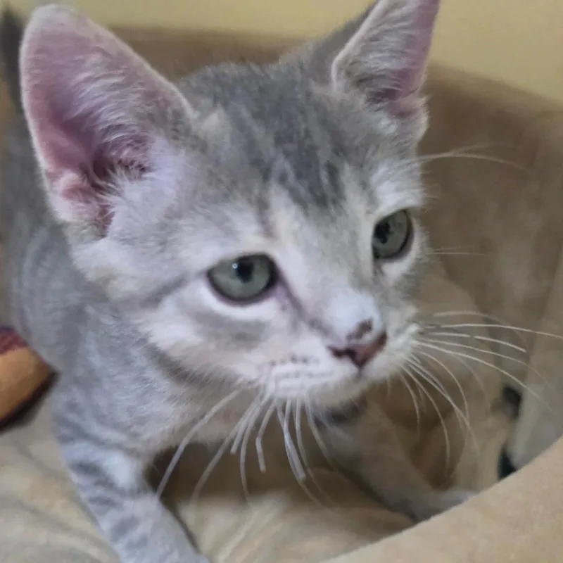 Irwin thumbnail 5