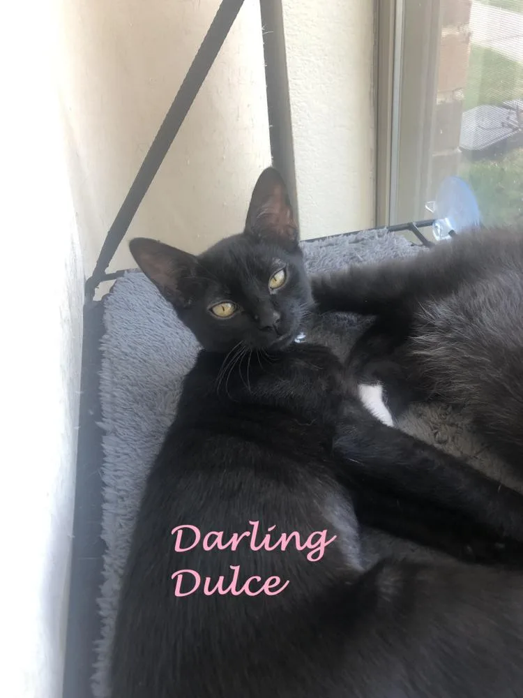 Dulce