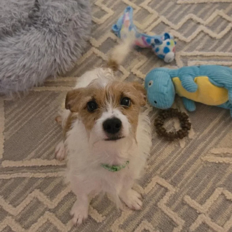 Eddie thumbnail 2