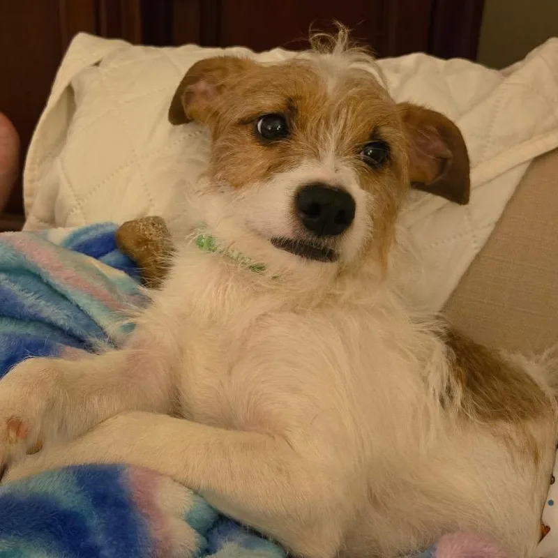 Eddie thumbnail 5