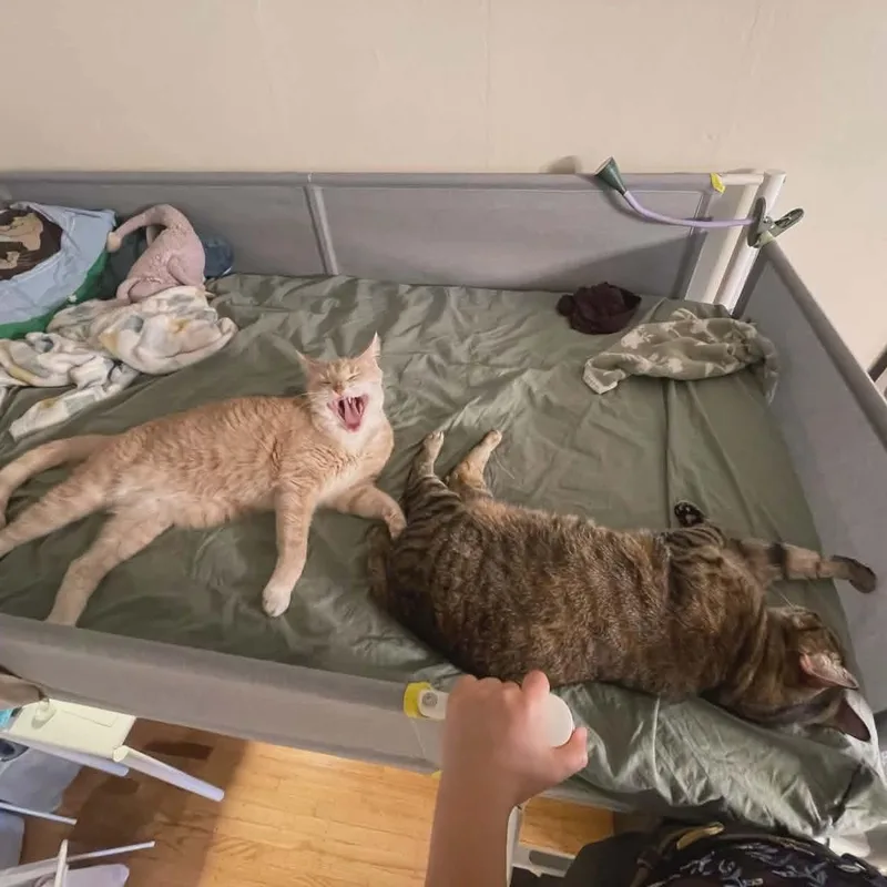 Peaches & Tigarette thumbnail 2