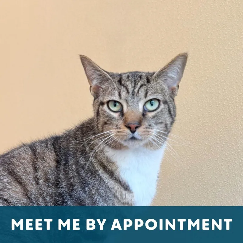 Tank Evans thumbnail 2