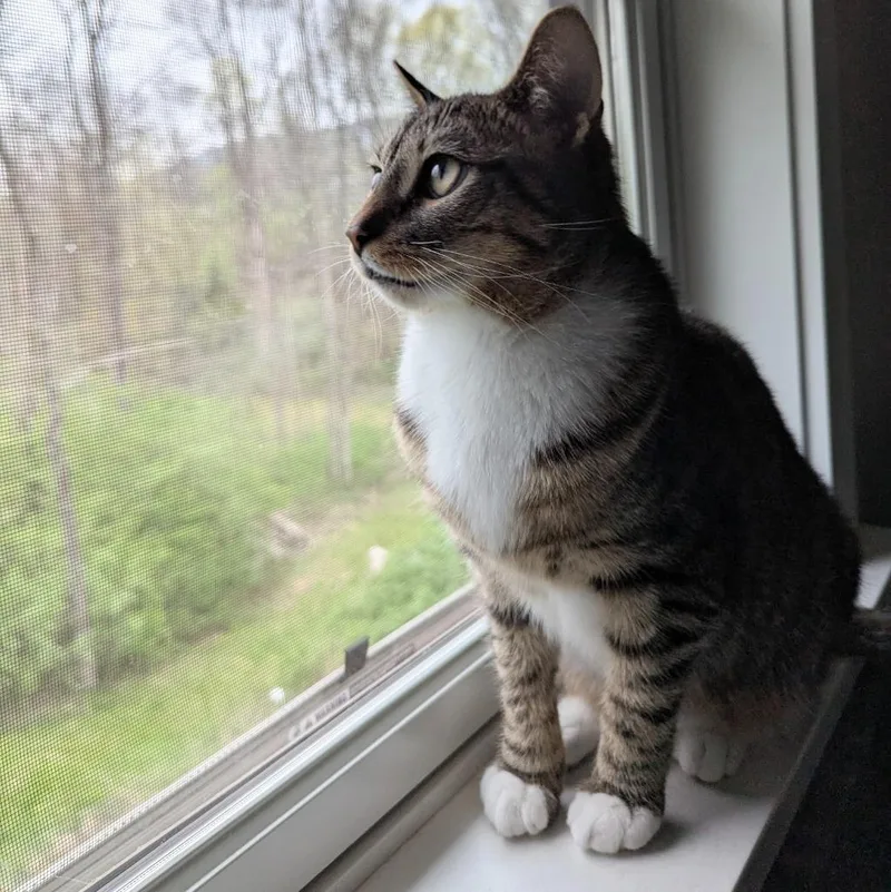 Tank Evans thumbnail 5