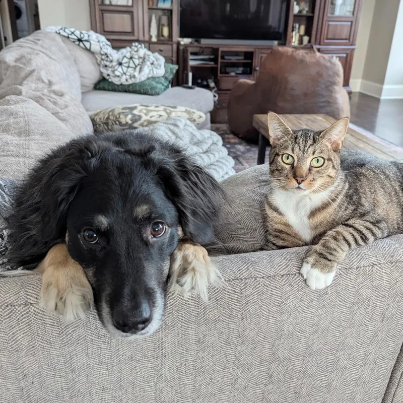 Tank Evans thumbnail 6