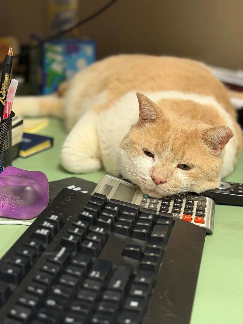 Carlos Larchwood thumbnail 2