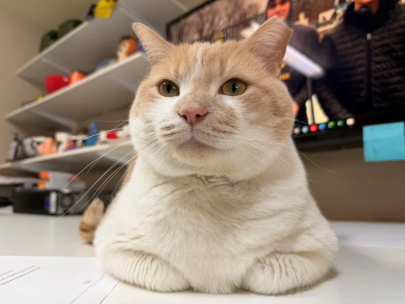 Carlos Larchwood thumbnail 3