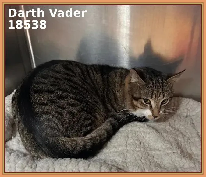 Darth Vader thumbnail 2