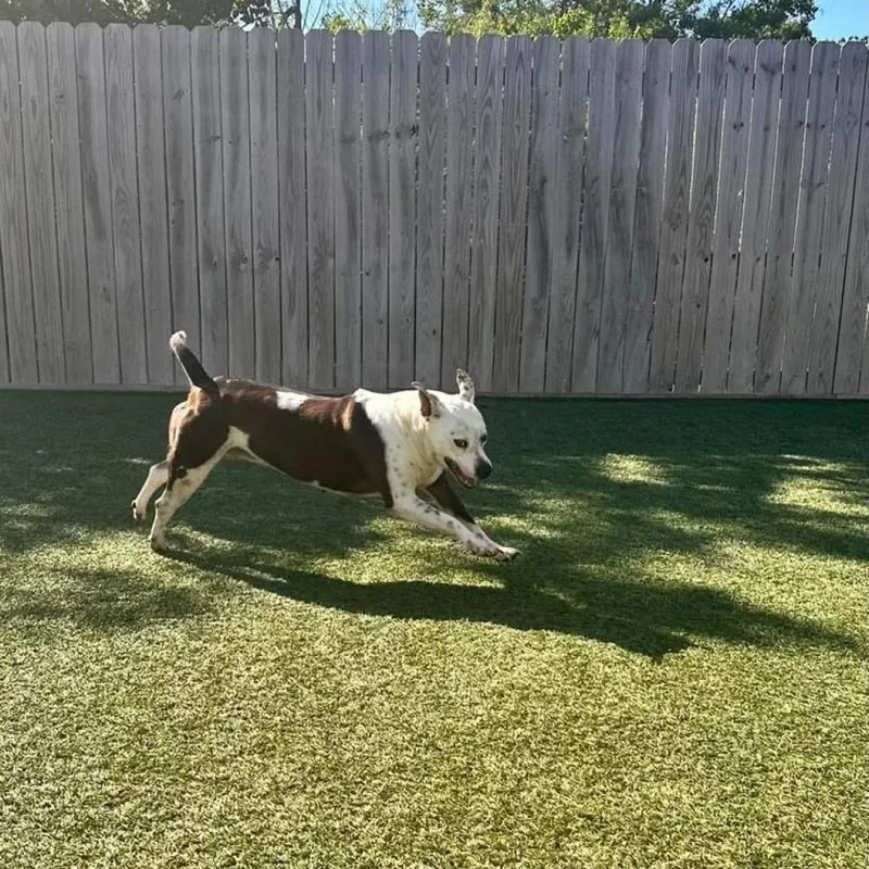 Sadie Lou thumbnail 4