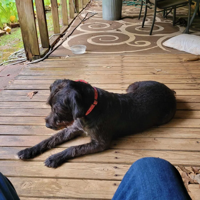Sadie Sweet Pea