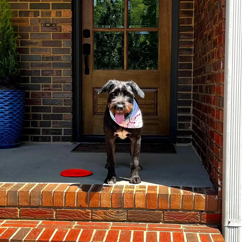Sadie Sweet Pea thumbnail 4