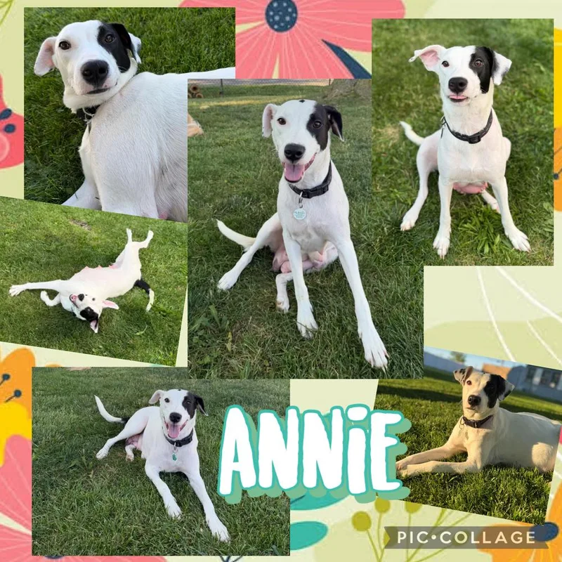 Annie thumbnail 2