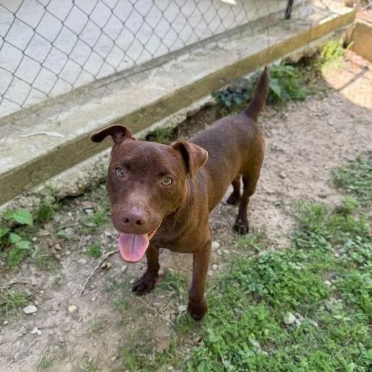 Micholas thumbnail 2