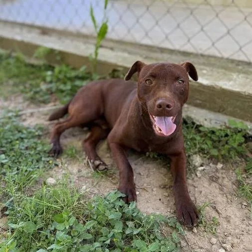 Micholas thumbnail 3