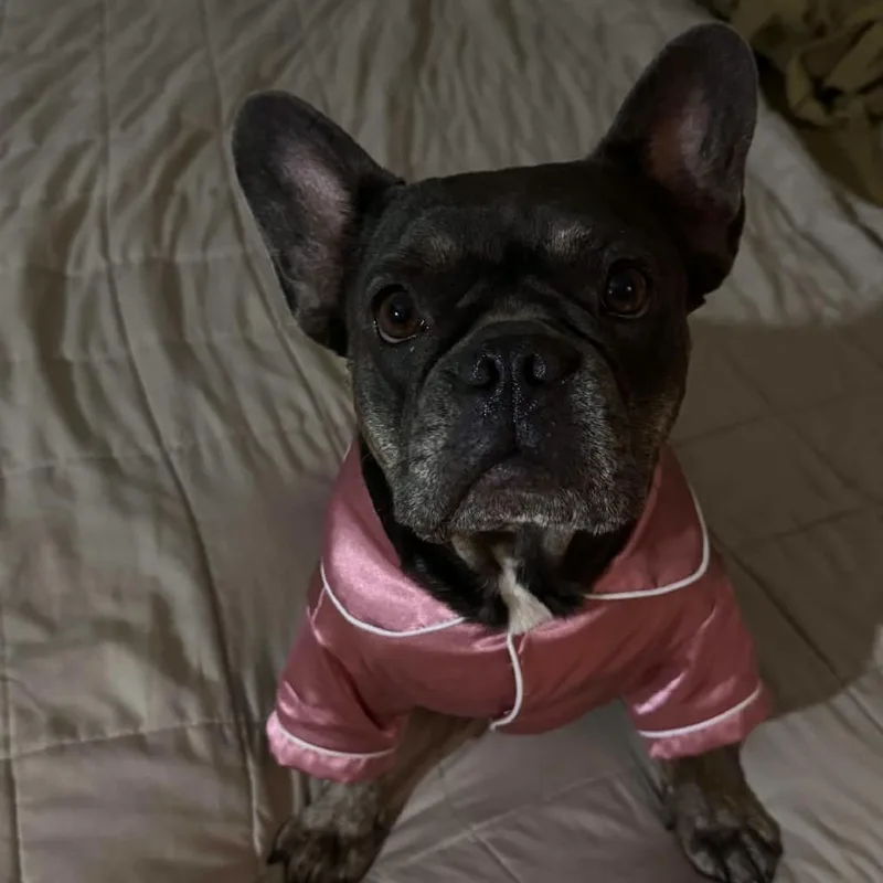Rosie thumbnail 2