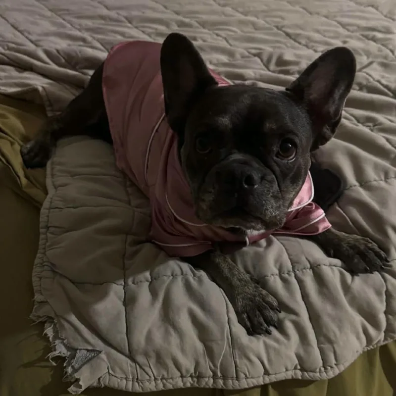 Rosie thumbnail 6