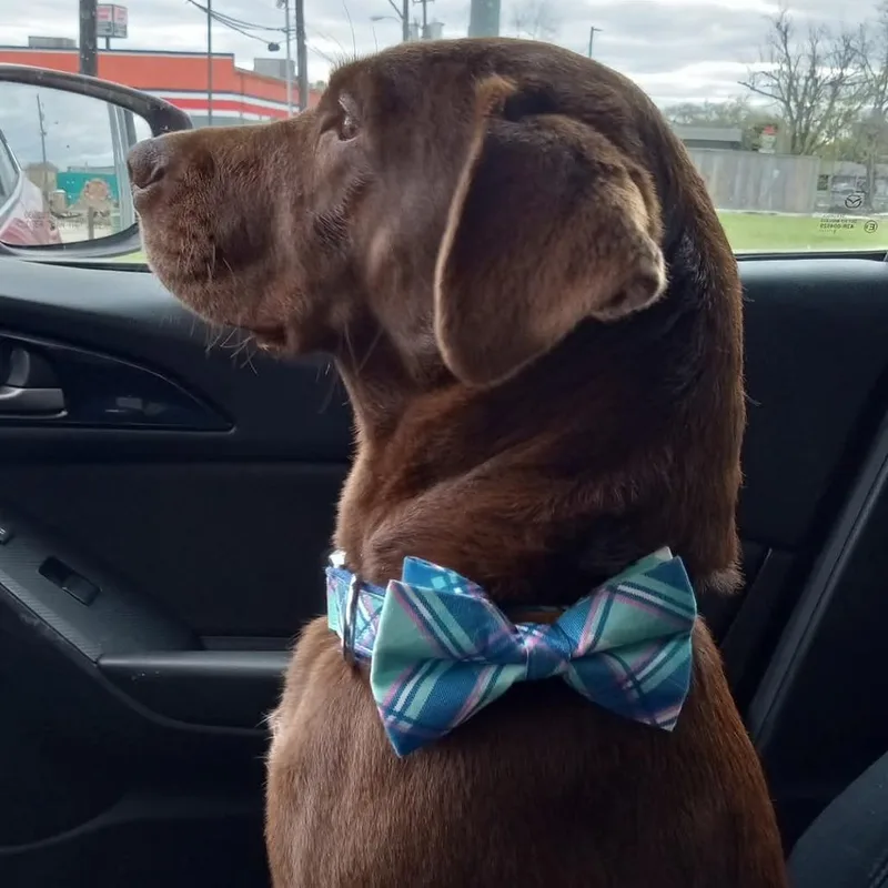 Murphy Brown thumbnail 2