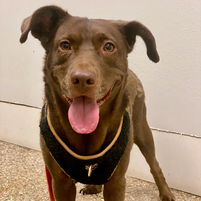 Murphy Brown thumbnail 4