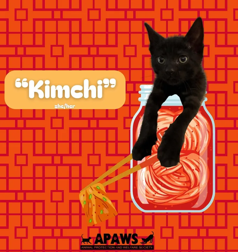 Kimchi