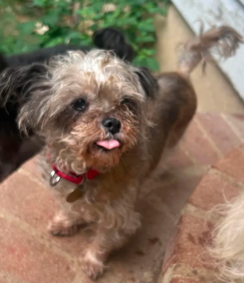 Roxy thumbnail 2