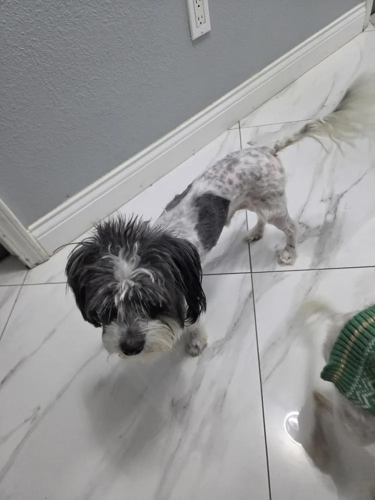 Little boy thumbnail 2