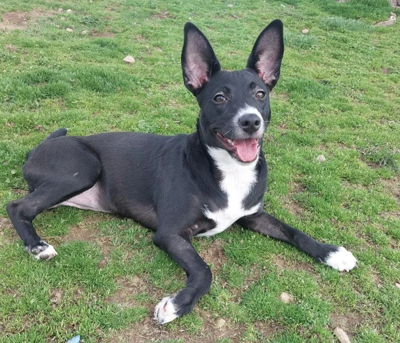 Kari thumbnail 2