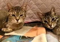 Doreen and Adele thumbnail 3