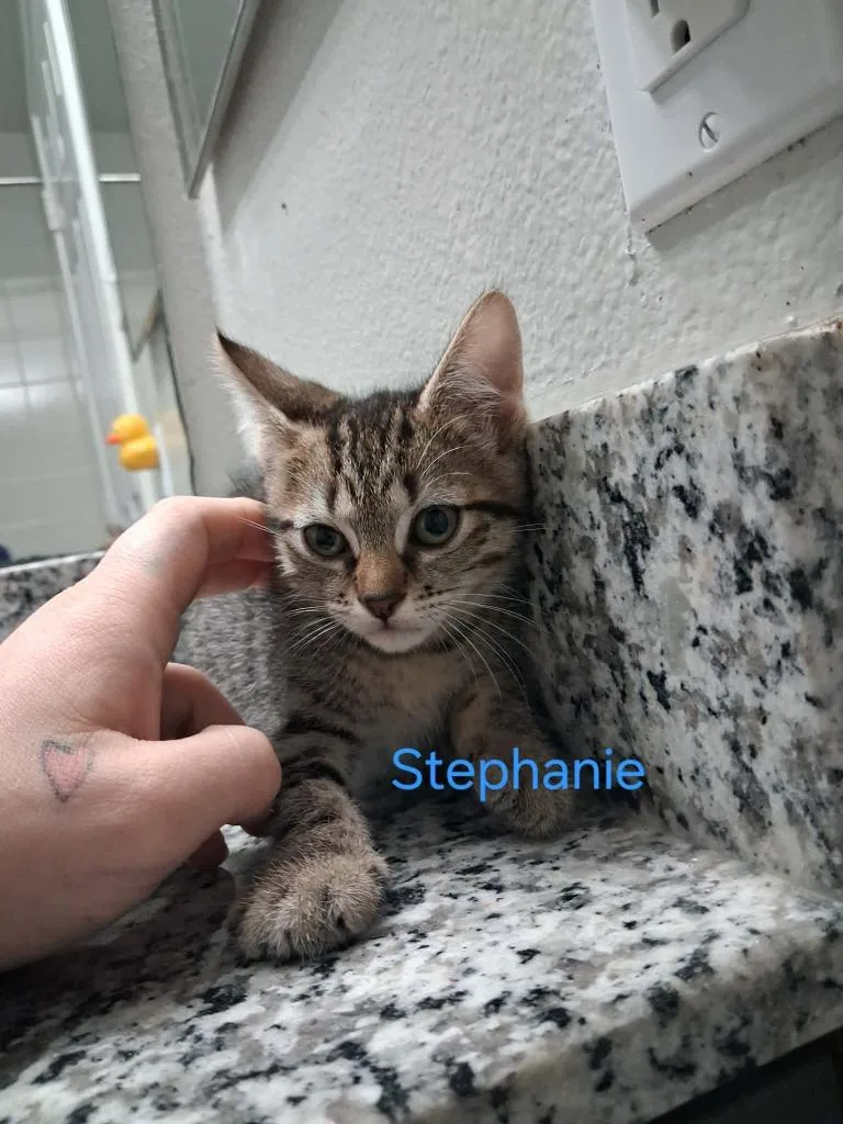 Stephanie thumbnail 3
