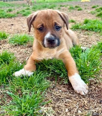 Paddington thumbnail 2