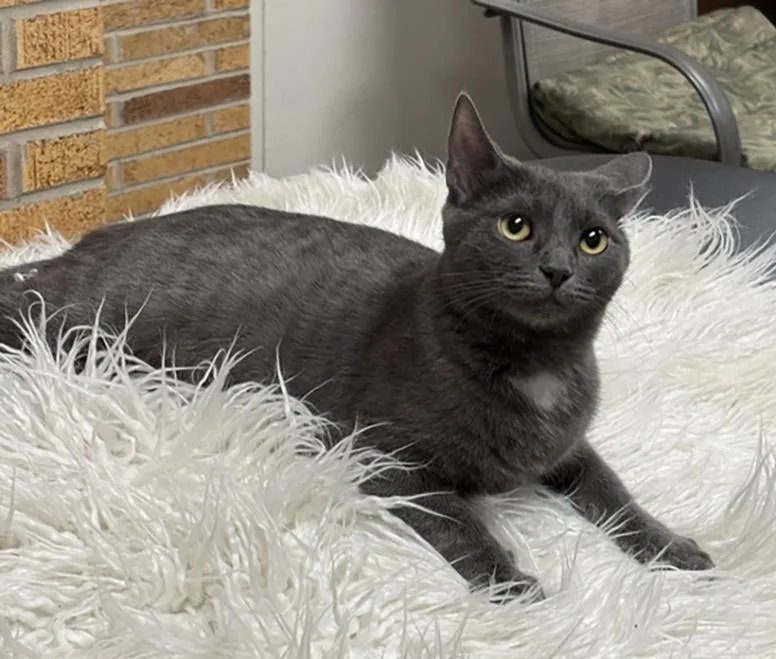 Sporty Spice thumbnail 2