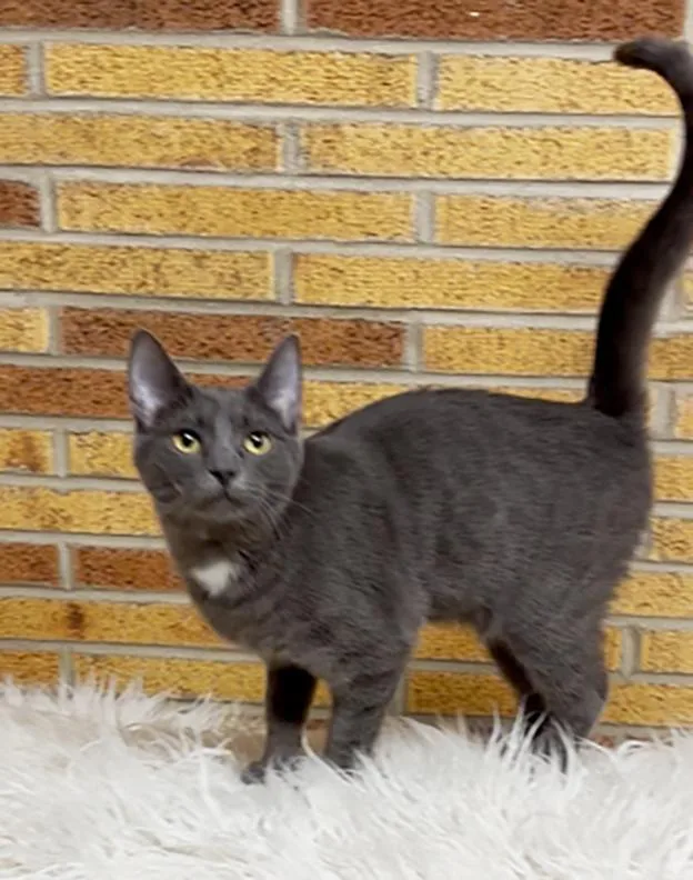 Sporty Spice thumbnail 3