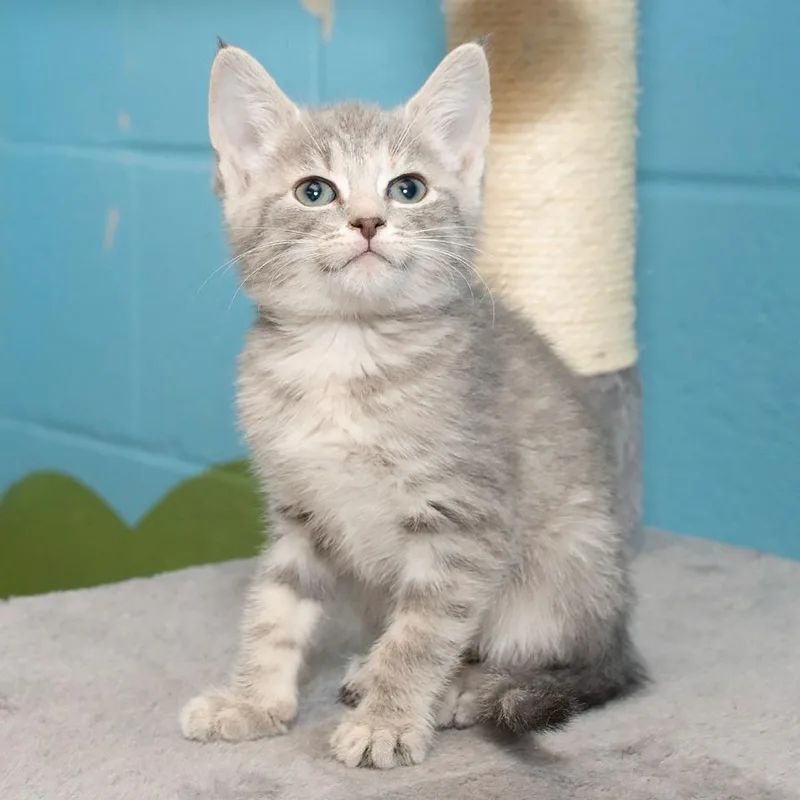 Snuggles thumbnail 2