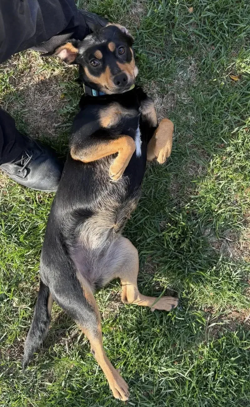 Maggie Mae