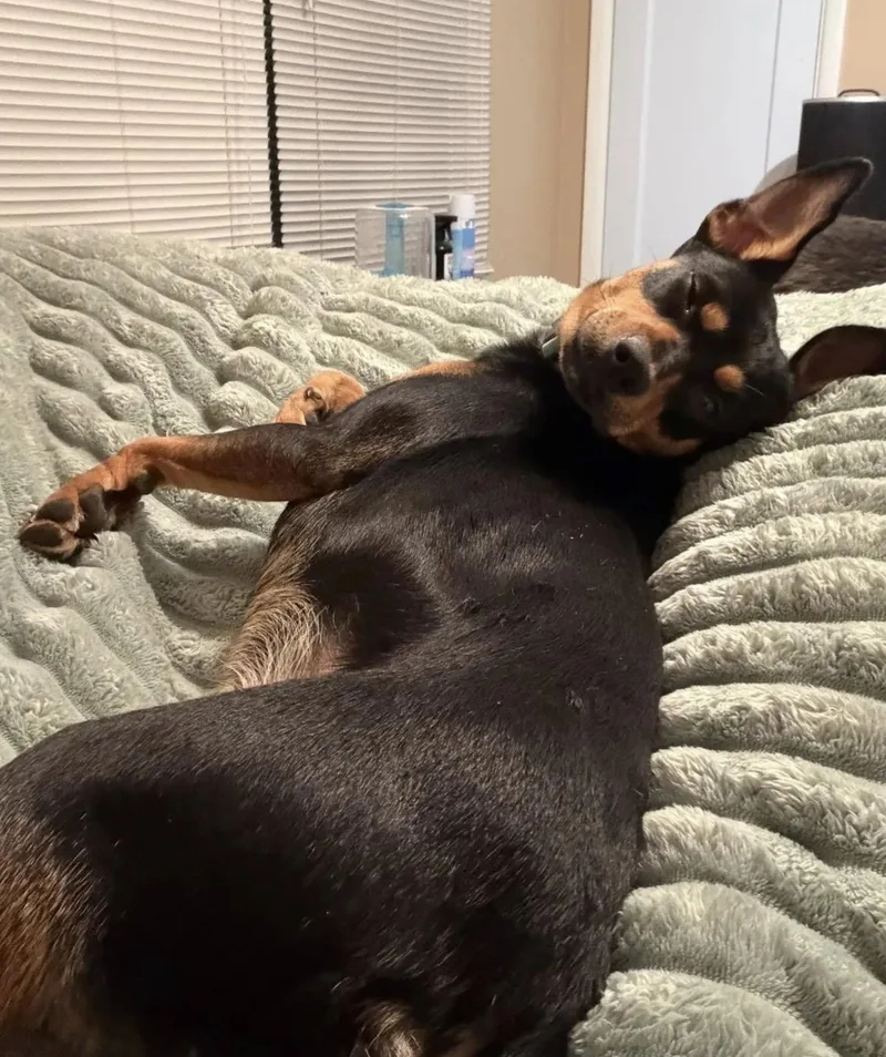 Maggie Mae thumbnail 2