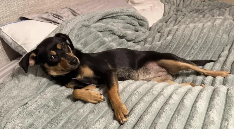 Maggie Mae thumbnail 3