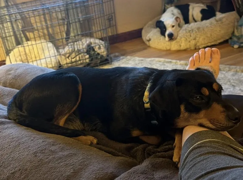 Maggie Mae thumbnail 4