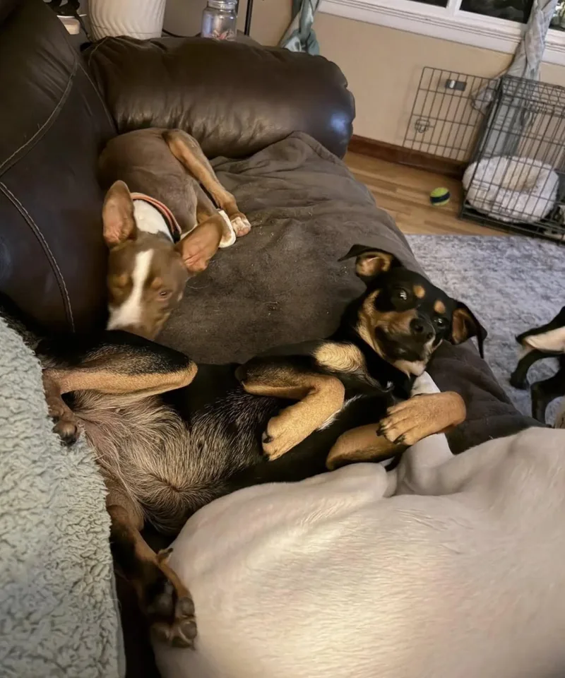 Maggie Mae thumbnail 6