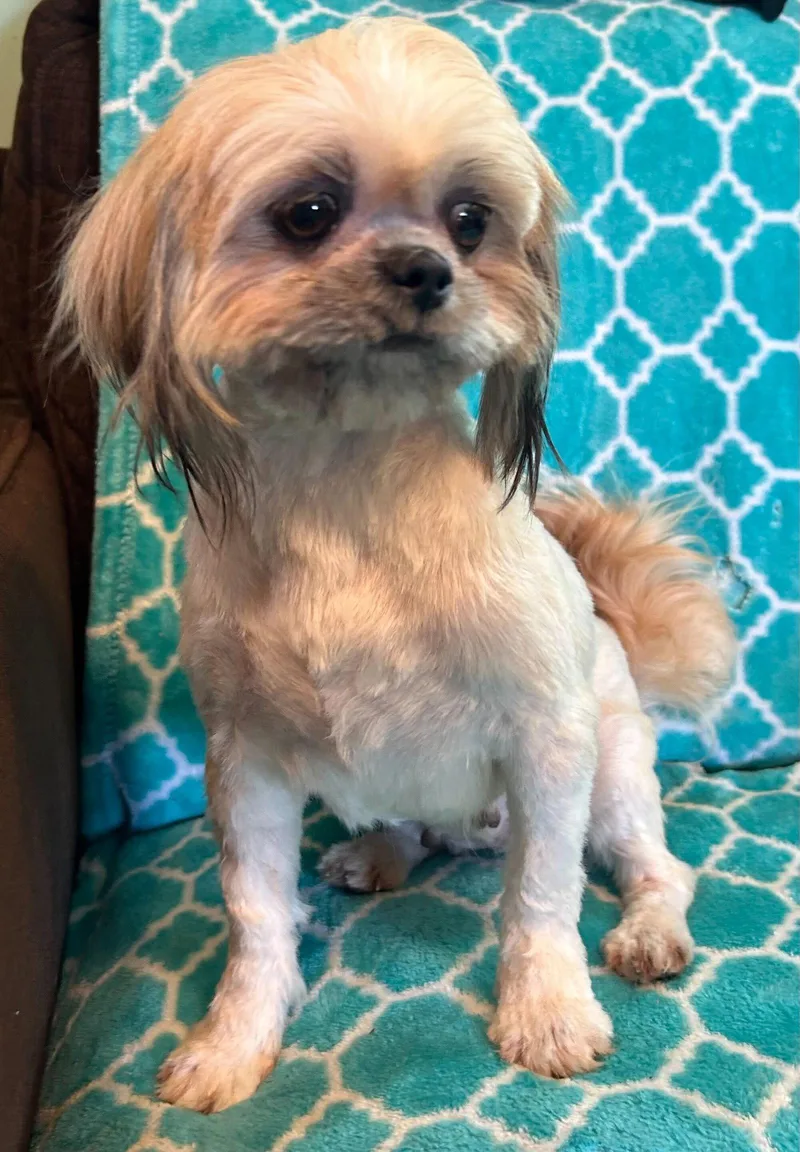 Jolie Mar thumbnail 2