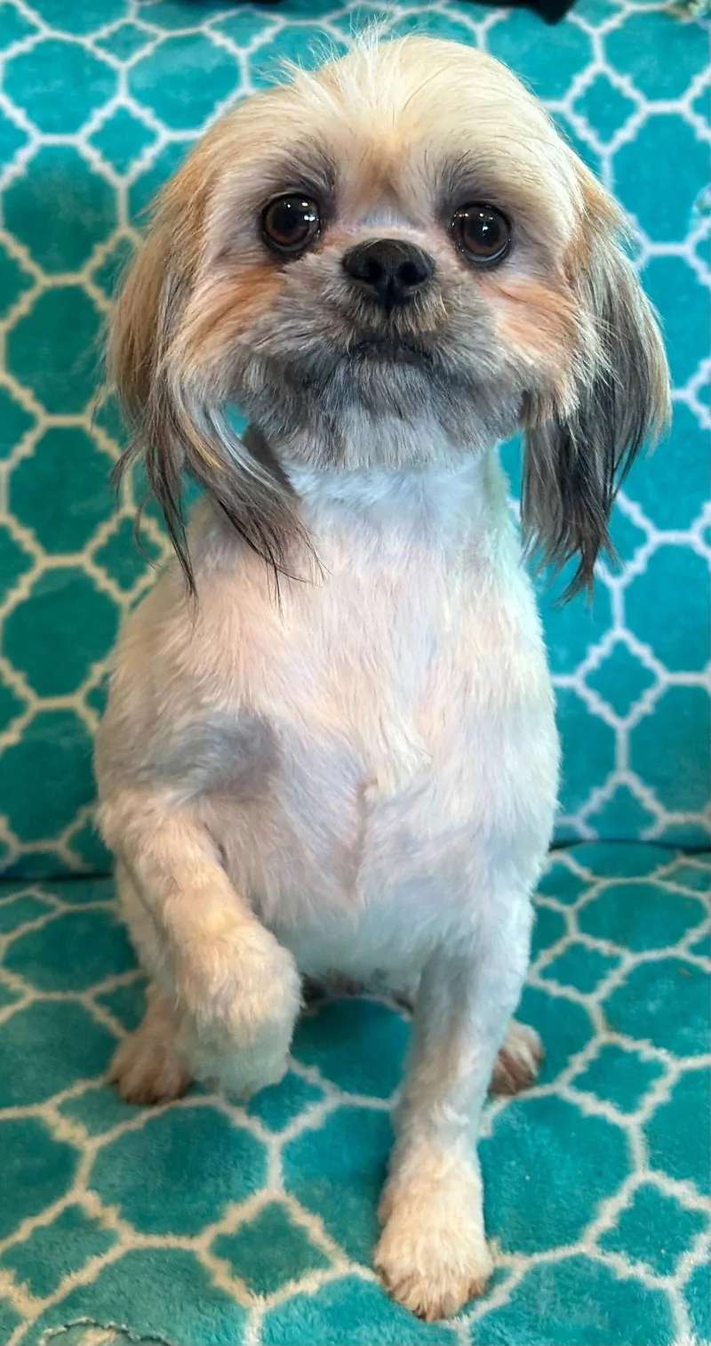 Jolie Mar thumbnail 3