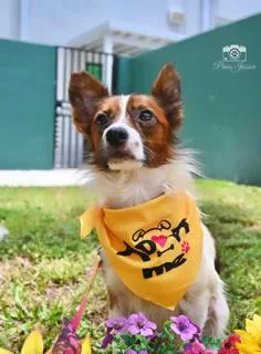 Nilo