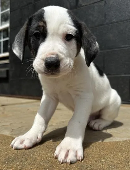 King Neptune thumbnail 2