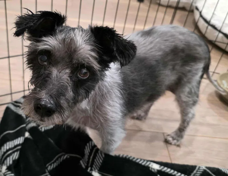 Timothy Tx thumbnail 2