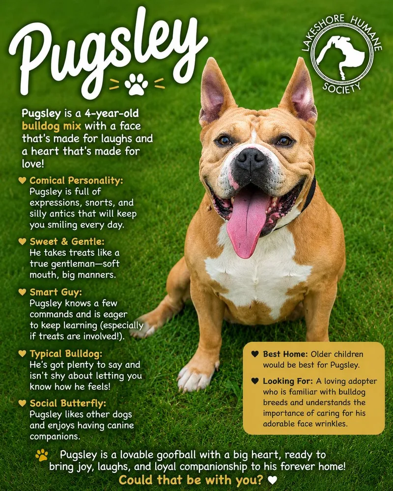 Pugsley thumbnail 2