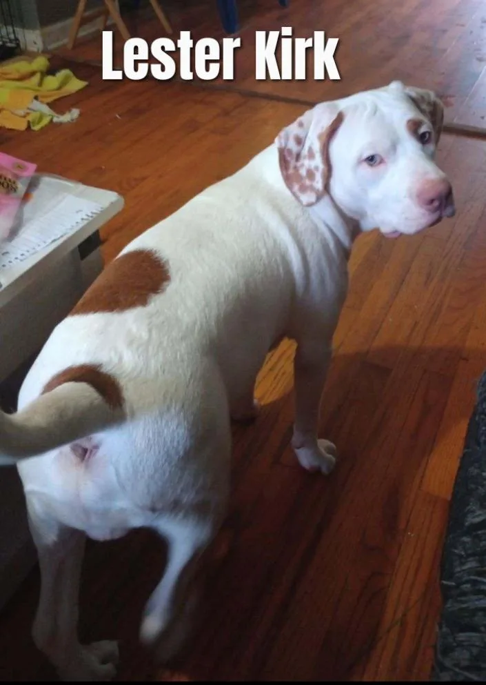 Lester Kirk thumbnail 2