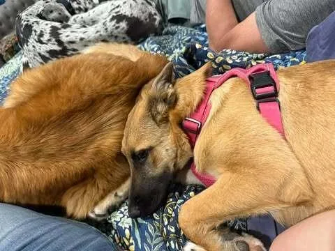 Maggie thumbnail 4