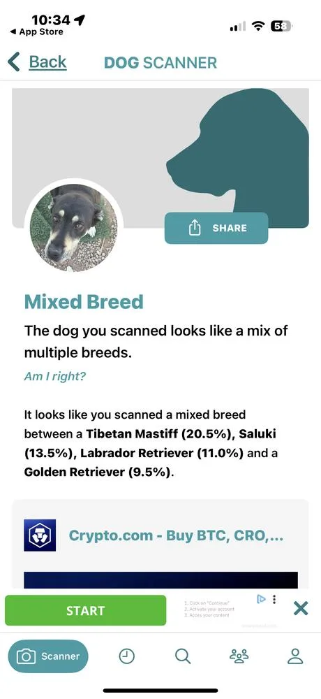 Precious thumbnail 3