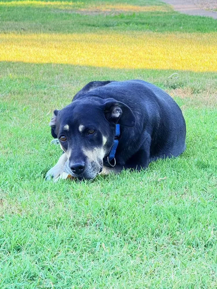 Precious thumbnail 4